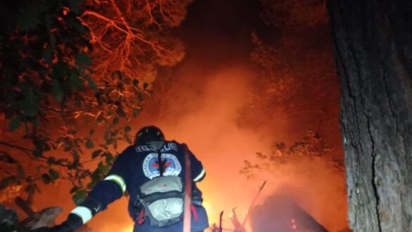 Συνεχίζεται και σήμερα η μάχη με τις αναζωπυρώσεις σε Έβρο και Ροδόπη