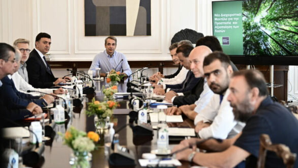 Άμεσα μέτρα για τον Έβρο αποφασίστηκαν στην διυπουργική σύσκεψη – Αναδασωτέες οι καμένες περιοχές