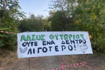 Αλεξανδρούπολη: Καταγγελία για την σύλληψη και ποινική δίωξη σε κατοίκους που διαμαρτυρήθηκαν για την κοπή δέντρων