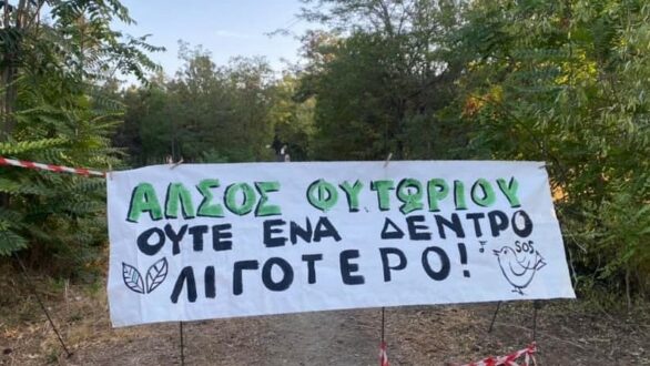 Αλεξανδρούπολη: Καταγγελία για την σύλληψη και ποινική δίωξη σε κατοίκους που διαμαρτυρήθηκαν για την κοπή δέντρων