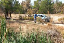 ΟΦΥΠΕΚΑ: Δράσεις προστασίας της άγριας πανίδας σε Πάρνηθα και Έβρο