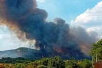 16η ημέρα πυρκαγιών στον Έβρο – Με ισχυρές δυνάμεις συνεχίζεται η κατάσβεση