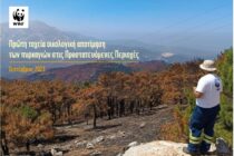 WWF: Πρώτη οικολογική αποτίμηση των πυρκαγιών – Επηρεάστηκαν τα δύο Εθνικά Πάρκα του νομού