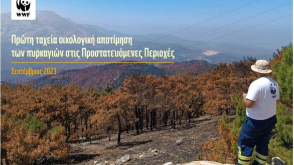 WWF: Πρώτη οικολογική αποτίμηση των πυρκαγιών – Επηρεάστηκαν τα δύο Εθνικά Πάρκα του νομού