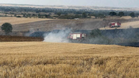 Πυρκαγιά σε εξέλιξη στο Χειμώνιο