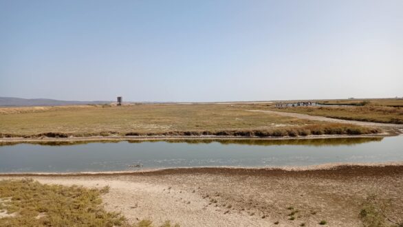 Ολοκληρώθηκαν με επιτυχία οι εκδηλώσεις για τον εορτασμό της Πανευρωπαϊκής Γιορτής Πουλιών