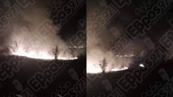 Φωτιά σε χορτολιβαδική έκταση στην Ορεστιάδα