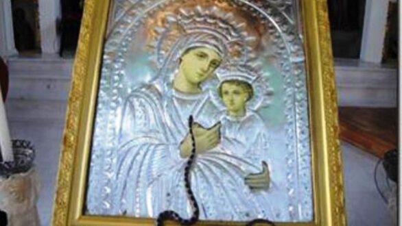 Υποδοχή της εικόνας Παναγίας Φιδούσας στον Άγιο Νεκτάριο Αλεξανδρουπόλεως