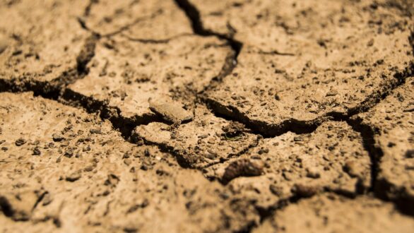 Μέτρια ως ακραία ξηρασία συνεχίζουν να παρουσιάζουν Έβρος και Θράκη
