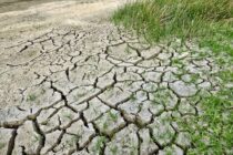 Meteo: Από έντονη εώς και ακραία ξηρασία πλήττονται πολλές περιοχές της Αν. Μακεδονίας & Θράκης