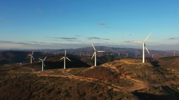 Εταιρεία Προστασίας Βιοποικιλότητας Θράκης: Να συμπεριληφθεί η πρόταση των εννέα οργανώσεων στο σχετικό νομοσχέδιο του ΥΠΕΝ