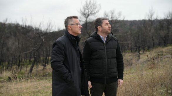 Ν. Ανδρουλάκης από Δαδιά: Στον Έβρο συνέβη μία τραγωδία – Προτείνουμε ένα ολοκληρωμένο σχέδιο αποκατάστασης