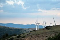 Ακόμα χωρίς μέτρα προστασίας, τα καμένα οικοσυστήματα στον Έβρο!