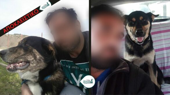 Νέα στοιχεία για τον Ορεστιαδίτη ιδιοκτήτη των σκυλιών που σκότωσαν τη γυναίκα στη Νεοχωρούδα – Έχει ξανακάνει φυλακή