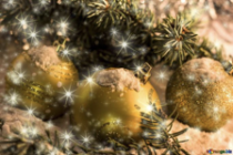 Μαγική Διακόσμηση Χριστουγέννων: Συμβουλές για μια μαγευτική Χριστουγεννιάτικη Ατμόσφαιρα