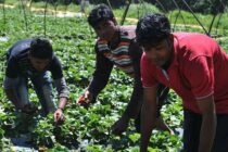 30.000 μη νόμιμοι μετανάστες νομιμοποιούνται χάριν εργασίας – Δ. Καιρίδης: Μπαίνει τάξη στην αταξία