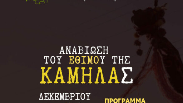 Κρασοχώρι : Αναβίωση του εθίμου της Καμήλας
