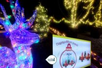 Παραμυθένιο χωριό τα Ρίζια – Κλέβει τις εντυπώσεις φέτος και κάνει τη διαφορά