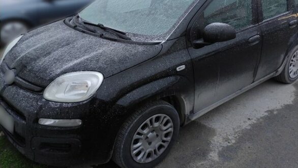 Συνελήφθη διακινητής στην Εθνική οδό Κήπων – Αλεξανδρούπολης