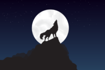 «Φεγγάρι του Λύκου»: Σήμερα η πρώτη πανσέληνος του 2024