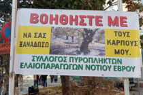 Οι πυρόπληκτοι ελαιοπαραγωγοί ζητούν μέτρα στήριξης – Πραγματοποίησαν μηχανοκίνητη πορεία στην Αλεξανδρούπολη