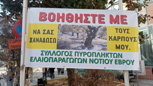 Οι πυρόπληκτοι ελαιοπαραγωγοί ζητούν μέτρα στήριξης – Πραγματοποίησαν μηχανοκίνητη πορεία στην Αλεξανδρούπολη