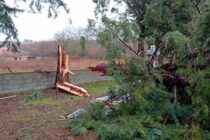 Προβλήματα έχει επιφέρει η κακοκαιρία σε πολλές περιοχές του Έβρου