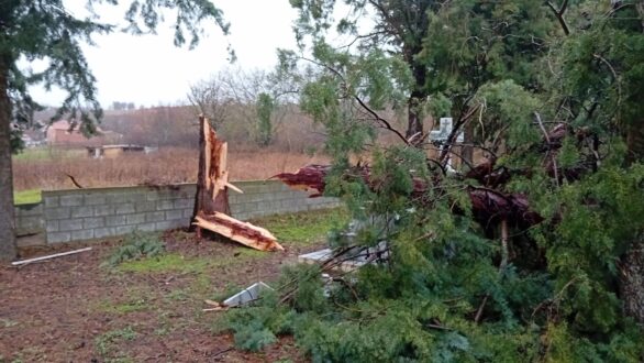 Προβλήματα έχει επιφέρει η κακοκαιρία σε πολλές περιοχές του Έβρου