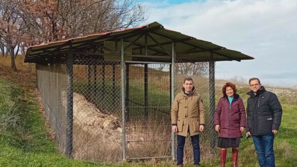 Δήμος Σουφλίου: Σε πρώτο πλάνο η ανάδειξη του Απολιθωμένου Δάσους Φυλακτού