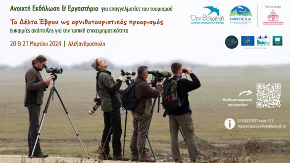 Εκδήλωση – Εργαστήριο “Το Δέλτα Έβρου ως ορνιθοτουριστικός προορισμός” στην Αλεξανδρούπολη