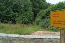 Ορεστιάδα: “Όχι” στις ανεμογεννήτριες από το Τμήμα Δασολογίας και Διαχείρισης Περιβάλλοντος και Φυσικών Πόρων