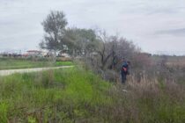 Ξεκίνησε η καταπολέμηση των κουνουπιών στην Περιφέρεια Αν. Μακεδονίας και Θράκης