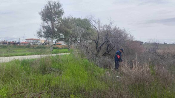 Ξεκίνησε η καταπολέμηση των κουνουπιών στην Περιφέρεια Αν. Μακεδονίας και Θράκης