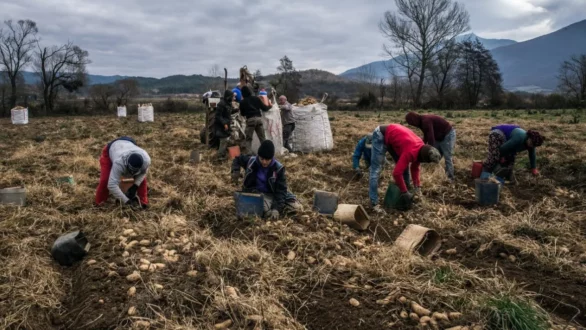 Σχεδόν 5.000 αιτήσεις για τη νέου τύπου άδεια διαμονής για εργασία σε πολίτες τρίτων χωρών