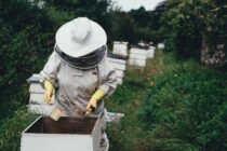 Υπεγράφη η απόφαση για την αποκατάσταση και χρηματοδότηση του Μελισσοκομικού πάρκου στη Δαδιά