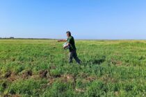 Εαρινή σπορά φυτικών ειδών στο Δέλτα Έβρου για τη Νανόχηνα