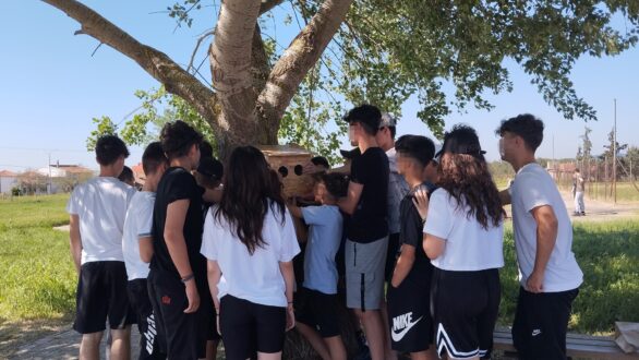 Μια ακόμη φωλιά για τα πουλιά στο Εθνικό Πάρκο Δαδιάς