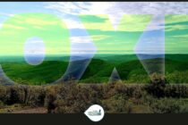 Ο Βόρειος Έβρος απαιτεί από την κυβέρνηση να προστατέψει το μοναδικό δασικό οικοσύστημα του Δήμου Ορεστιάδας