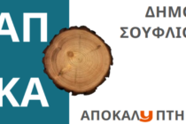 Σουφλί: Αποκαλυπτήρια εκδήλωση του γλυπτού από τα καμένα δέντρα του Δάσους Δαδιάς