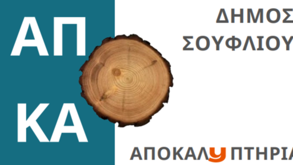 Σουφλί: Αποκαλυπτήρια εκδήλωση του γλυπτού από τα καμένα δέντρα του Δάσους Δαδιάς