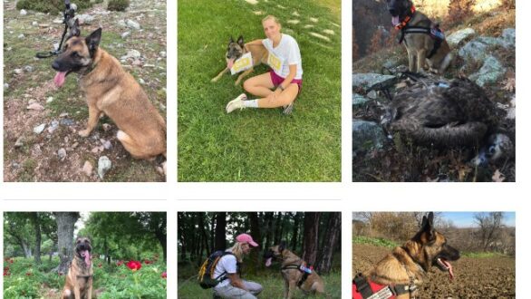 “Συνταξιοδοτήθηκε” ο Κίκο, ο σκύλος- ανιχνευτής δηλητηριασμένων δολωμάτων