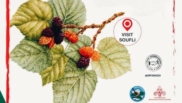 Το 2ο Φεστιβάλ Μουριάς στο Σουφλί – Ένας ακόμη λόγος να επισκεφτούμε τη μεταξένια πολιτεία