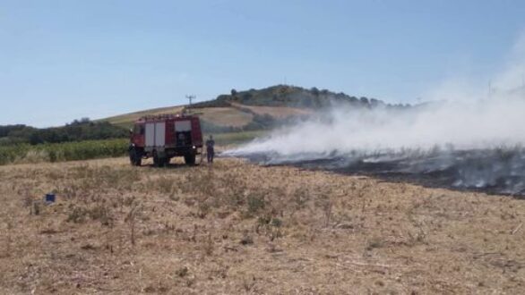 Σβήστηκε φωτιά σε χωράφι στο Δίλοφο κοντά σε κατοικίες