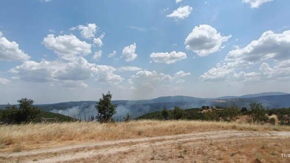 Για τρίτη ημέρα ξεσπάει πυρκαγιά στην Ρούσσα – Φωτιά και στον Λαγό Διδυμοτείχου