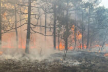 Μεγάλες φωτιές στα Ελληνοβουλγαρικά σύνορα – Κατάσταση έκτακτης ανάγκης Σβίλενγκραντ και Ιβάιλοβγκραντ