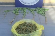 Συλλήψεις 11 ατόμων για ναρκωτικά στην Αν. Μακεδονία και Θράκη