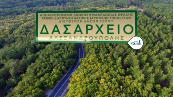 Προσλήψεις 24 ατόμων στο Δασαρχείο Αλεξανδρούπολης – Αιτήσεις έως το Σάββατο 17/8
