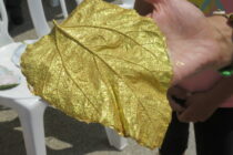 «Φύλλα μουριάς από πηλό»: Εργαστήρι δημιουργικής απασχόλησης στο Μουσείο Μετάξης