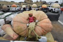 ΕΒΡΟΣ πιο ΜΕΤΑ, γιατί τώρα ΚΟΛΟΚΥΘΙΑ τούμπανα – Τα θωρακισμένα σύνορα του επίτιμου, η πράσινη ανάπτυξη και πράσσειν άλογα