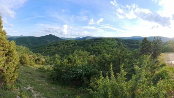 Η ΕΠΒΘ απλώνει τα φτερά της πάνω από την Κοιλάδα Δερείου και καταγράφει τα σπάνια αρπακτικά πουλιά